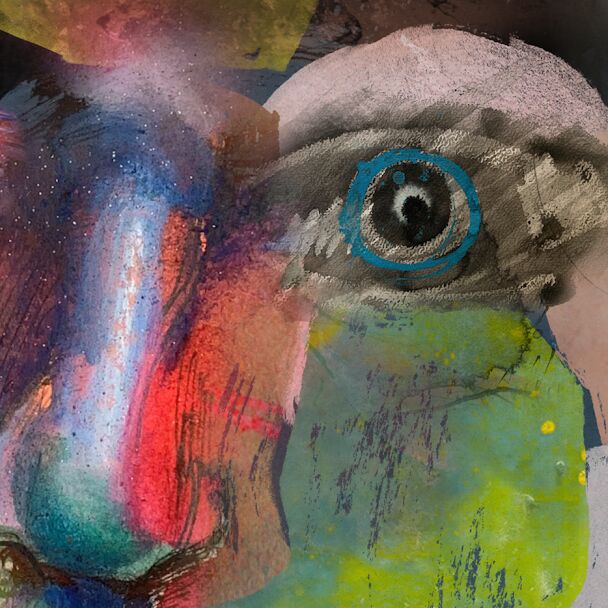 Detail of The Hidden Frequency