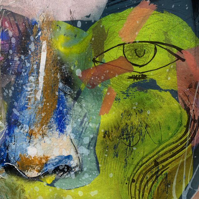 Detail of Borrowed Skin